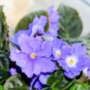 永井 12/22のお礼♡ あなたに逢いたくて