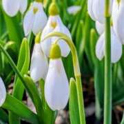 ヒメ日記 2026/01/08 12:47 投稿 永井 あなたに逢いたくて