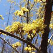 ヒメ日記 2026/01/19 09:07 投稿 永井 あなたに逢いたくて