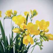 ヒメ日記 2026/01/25 08:37 投稿 永井 あなたに逢いたくて