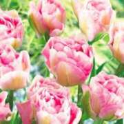 ヒメ日記 2026/01/25 21:37 投稿 永井 あなたに逢いたくて