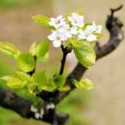 ヒメ日記 2026/02/02 08:57 投稿 永井 あなたに逢いたくて