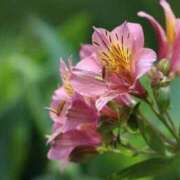 ヒメ日記 2026/02/19 12:29 投稿 永井 あなたに逢いたくて