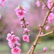 ヒメ日記 2026/03/04 10:37 投稿 永井 あなたに逢いたくて