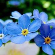 ヒメ日記 2026/03/16 13:37 投稿 永井 あなたに逢いたくて