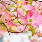 ヒメ日記 2026/03/19 10:37 投稿 永井 あなたに逢いたくて