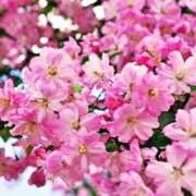 ヒメ日記 2026/03/26 12:27 投稿 永井 あなたに逢いたくて