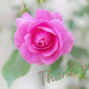 ヒメ日記 2026/03/27 11:37 投稿 永井 あなたに逢いたくて