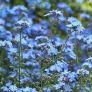 ヒメ日記 2026/04/06 14:27 投稿 永井 あなたに逢いたくて