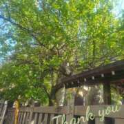 ヒメ日記 2026/04/12 17:27 投稿 永井 あなたに逢いたくて