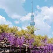 ヒメ日記 2026/04/30 20:27 投稿 永井 あなたに逢いたくて