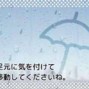 ヒメ日記 2024/06/21 12:45 投稿 いつき 横浜おかあさん