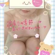 ヒメ日記 2025/04/05 22:00 投稿 かやの 横浜 風俗 妻がオンナに変わるとき