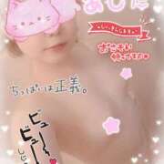 ヒメ日記 2025/10/08 22:45 投稿 かやの 横浜 風俗 妻がオンナに変わるとき