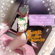 ヒメ日記 2025/10/13 21:01 投稿 かやの 横浜 風俗 妻がオンナに変わるとき