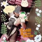 かやの 狙い目の時間帯は⋯‎🤔 横浜 風俗 妻がオンナに変わるとき