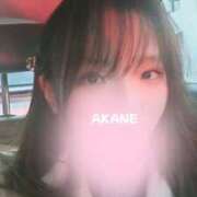 ヒメ日記 2025/01/10 16:51 投稿 茜音-Akane- 姉新地