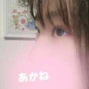ヒメ日記 2025/01/23 11:20 投稿 茜音-Akane- 姉新地