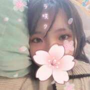 ヒメ日記 2025/04/01 08:00 投稿 茜音-Akane- 姉新地