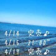 ヒメ日記 2025/04/14 09:30 投稿 茜音-Akane- 姉新地