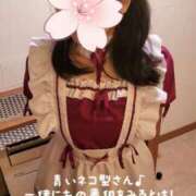 ヒメ日記 2025/05/06 00:33 投稿 茜音-Akane- 姉新地