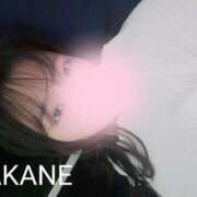 ヒメ日記 2025/05/28 08:01 投稿 茜音-Akane- 姉新地