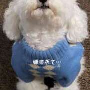 ヒメ日記 2025/05/31 08:08 投稿 茜音-Akane- 姉新地