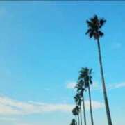 ヒメ日記 2025/06/25 08:00 投稿 茜音-Akane- 姉新地