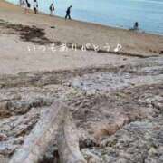 ヒメ日記 2025/07/01 08:01 投稿 茜音-Akane- 姉新地