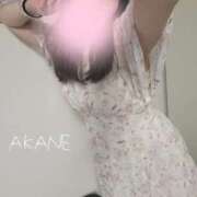 ヒメ日記 2025/07/14 15:01 投稿 茜音-Akane- 姉新地