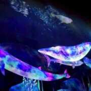 ヒメ日記 2025/07/24 23:42 投稿 茜音-Akane- 姉新地