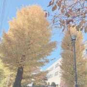 ヒメ日記 2024/12/11 22:18 投稿 ななみ ミルキーパイ