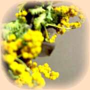 ヒメ日記 2025/03/10 19:54 投稿 れいな 完熟ばなな 上野店