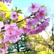 ヒメ日記 2025/03/17 11:00 投稿 れいな 完熟ばなな 上野店