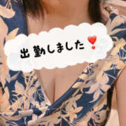 ヒメ日記 2025/02/22 19:00 投稿 若菜つぼみ YESグループ水戸　華女