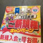 ヒメ日記 2025/11/15 13:48 投稿 若菜つぼみ YESグループ水戸　華女
