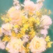 ヒメ日記 2024/12/10 15:02 投稿 れに 渋谷蘭の会