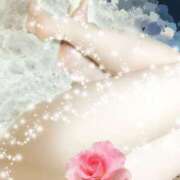 ヒメ日記 2025/02/13 12:05 投稿 れに 渋谷蘭の会