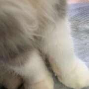 ヒメ日記 2025/02/20 18:49 投稿 なな 西川口ちゃんこ