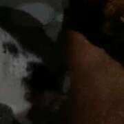 ヒメ日記 2025/03/01 01:14 投稿 なな 西川口ちゃんこ