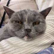 ヒメ日記 2025/04/17 23:49 投稿 なな 西川口ちゃんこ