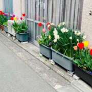 ヒメ日記 2025/04/20 20:00 投稿 なな 西川口ちゃんこ