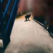 ヒメ日記 2025/06/05 00:10 投稿 なな 西川口ちゃんこ