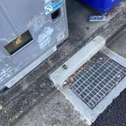 ヒメ日記 2025/07/28 16:29 投稿 なな 西川口ちゃんこ