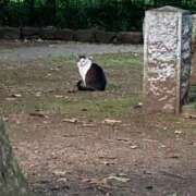 ヒメ日記 2025/08/14 10:29 投稿 なな 西川口ちゃんこ