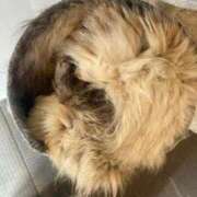 ヒメ日記 2025/08/19 20:19 投稿 なな 西川口ちゃんこ