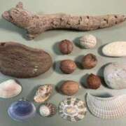 ヒメ日記 2025/09/20 13:09 投稿 なな 西川口ちゃんこ