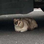 ヒメ日記 2025/09/25 15:09 投稿 なな 西川口ちゃんこ