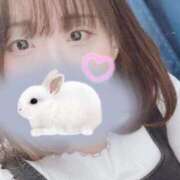 ヒメ日記 2025/11/14 12:19 投稿 なな 西川口ちゃんこ