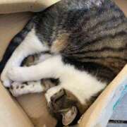 ヒメ日記 2025/11/25 11:39 投稿 なな 西川口ちゃんこ